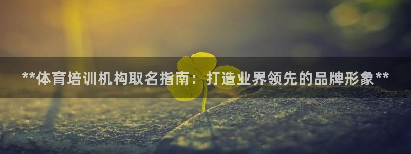 焦点娱乐挂机版下载：**体育培训机构取名指南：打造业