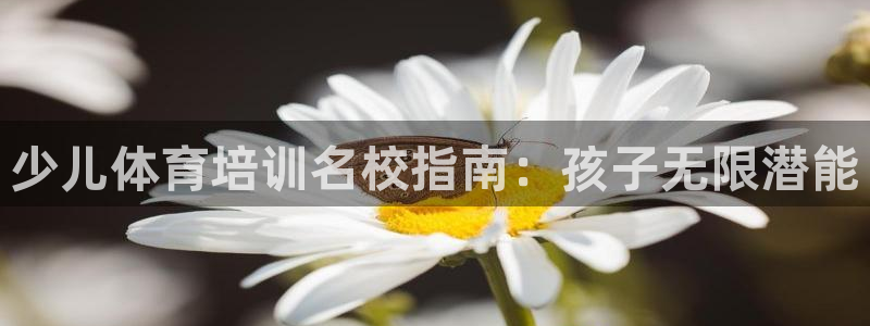 焦点娱乐平台注册账号是什么意思：少儿体育培训名校指南