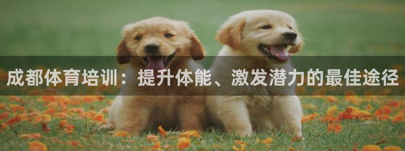焦点娱乐平台账号在哪注册的：成都体育培训：提升体能、激发潜力