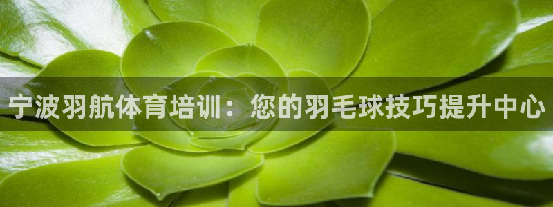 焦点娱乐拉菲：宁波羽航体育培训：您的羽毛球技巧提升中