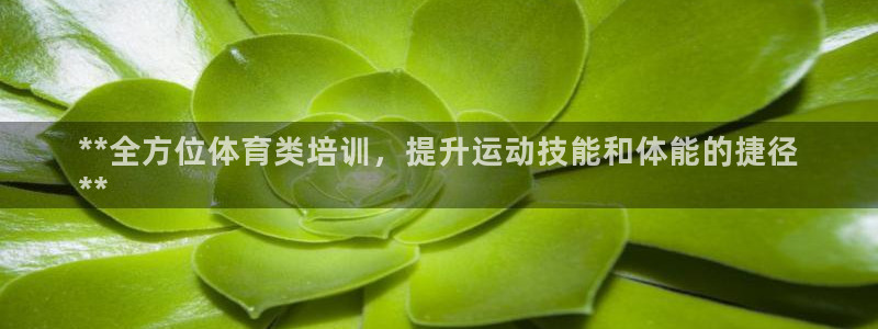 焦点娱乐说说文案：**全方位体育类培训，提升运动技能