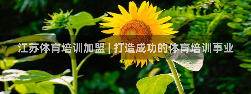 焦点娱乐如何注册账号和密码：江苏体育培训加盟 | 打