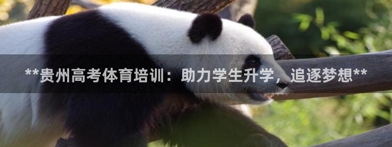 焦点娱乐官网下载安装苹果手机：**贵州高考体育培训：