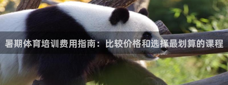 焦点娱乐平台注册账号：暑期体育培训费用指南：比较价格