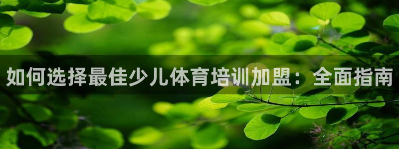 焦点娱乐公司简介图片：如何选择最佳少儿体育培训加盟：全面指南