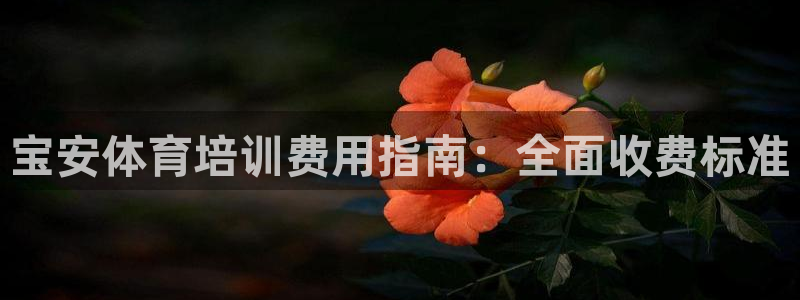 焦点娱乐app下载官网最新版：宝安体育培训费用指南：