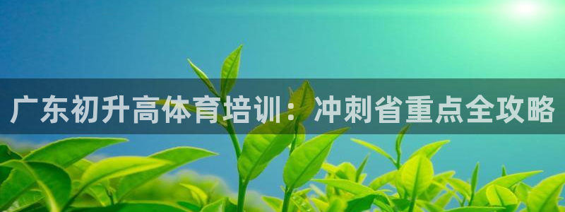 焦点娱乐加速器下载：广东初升高体育培训：冲刺省重点全