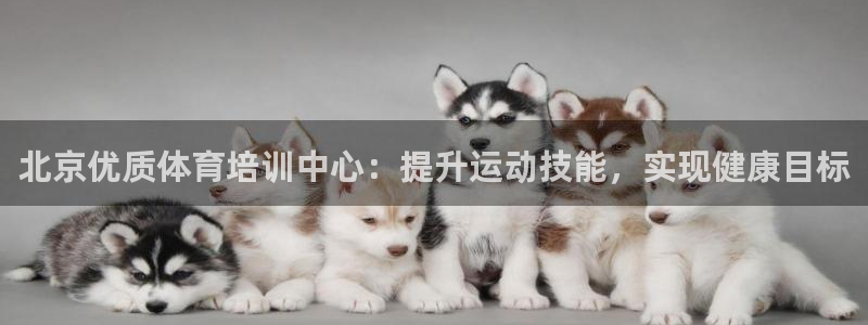 焦点娱乐全国总冠军：北京优质体育培训中心：提升运动技能，实现