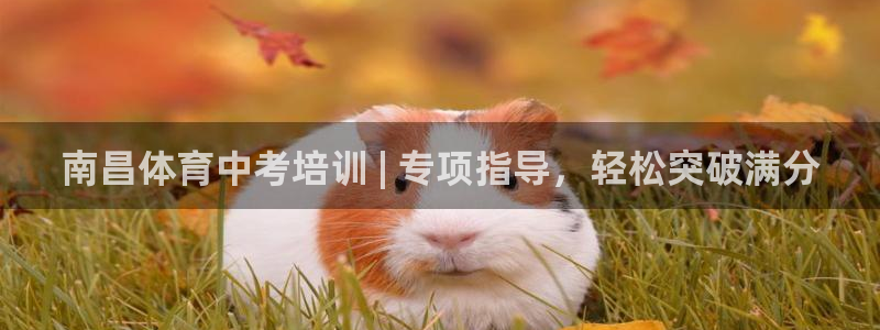 焦点娱乐传媒有限公司怎么样啊知乎：南昌体育中考培训 | 专项