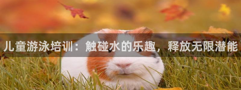 焦点娱乐是黑平台吗是真的吗：儿童游泳培训：触碰水的乐趣，释放