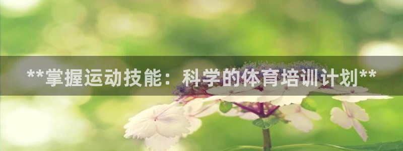 焦点娱乐平台怎么样：**掌握运动技能：科学的体育培训计划**