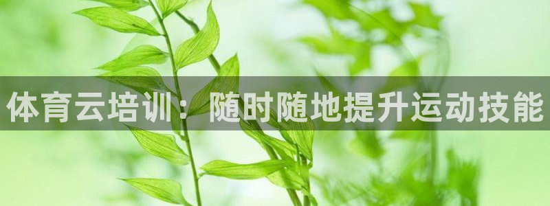 焦点娱乐传媒有限公司官网首页：体育云培训：随时随地提