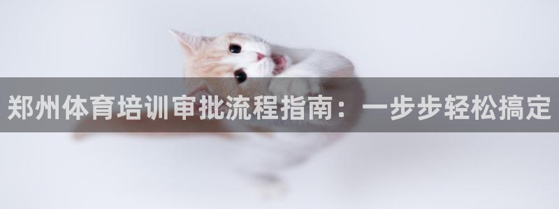 焦点娱乐拉菲