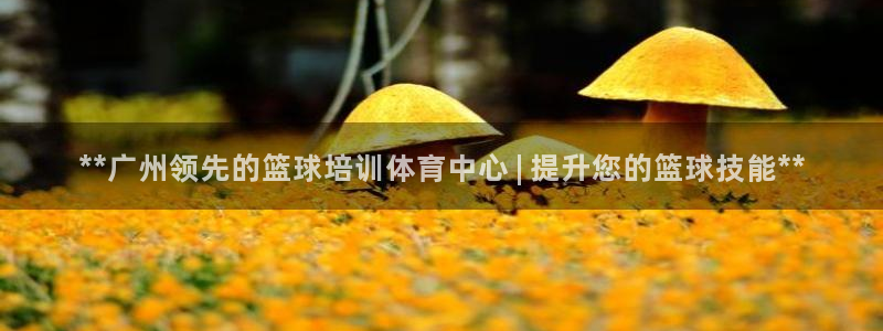 焦点娱乐拉菲11：**广州领先的篮球培训体育中心 |