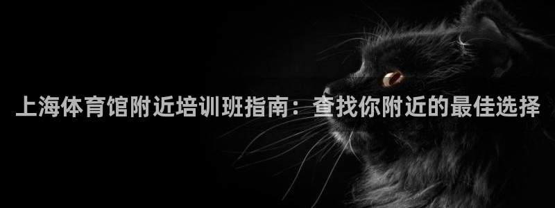 焦点娱乐是哪个公司的软件：上海体育馆附近培训班指南：