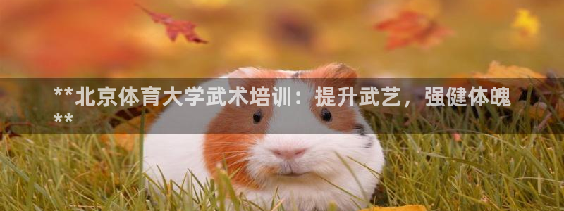 焦点娱乐app下载安装苹果