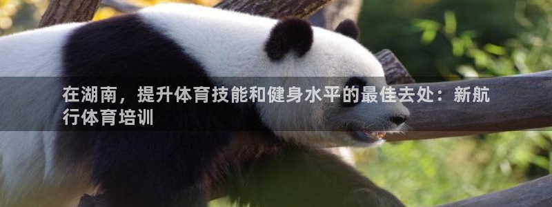 焦点娱乐app下载安装：在湖南，提升体育技能和健身水