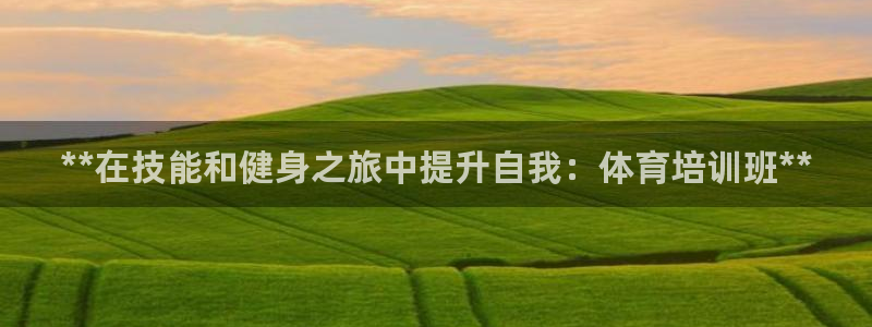 焦点娱乐有限公司怎么样：**在技能和健身之旅中提升自