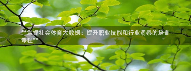 焦点娱乐app下载官网最新版本