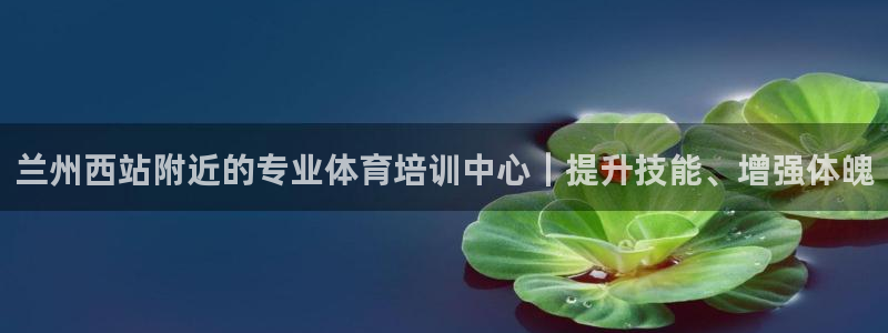 焦点娱乐待遇