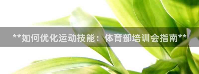 焦点娱乐app下载官网苹果版