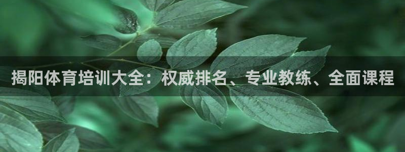焦点娱乐软件版本下载