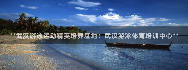 焦点娱乐公司简介：**武汉游泳运动精英培养基地：武汉