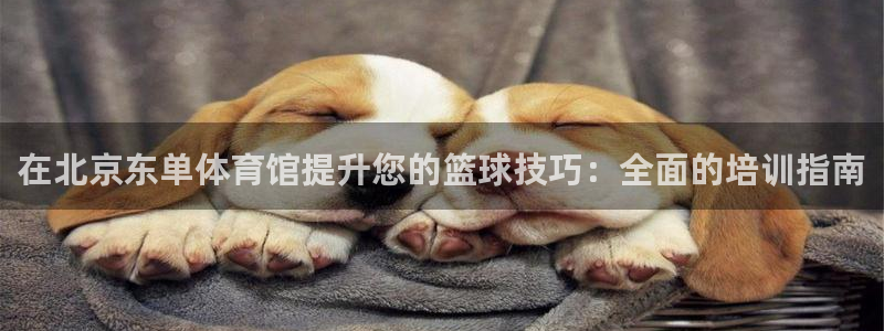 焦点娱乐官方网站下载安装