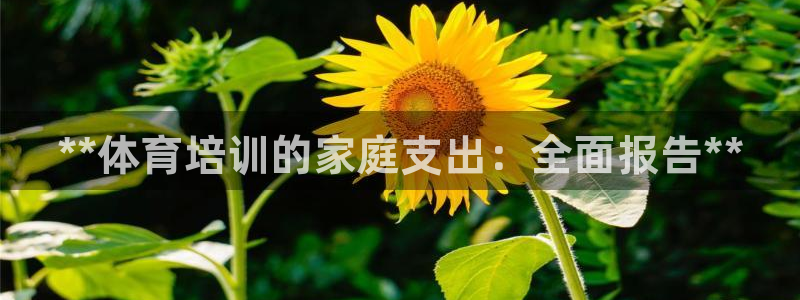 焦点娱乐陈江河：**体育培训的家庭支出：全面报告**