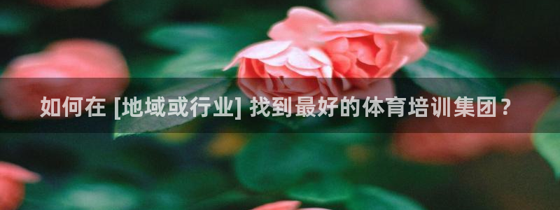 焦点娱乐无法提现怎么办：如何在 [地域或行业] 找到最好的体