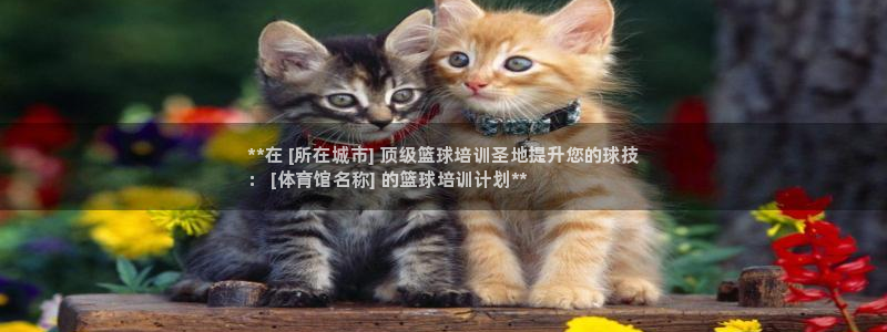 焦点娱乐平台账号在哪注册的：**在 [所在城市] 顶