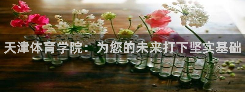 焦点娱乐总代理