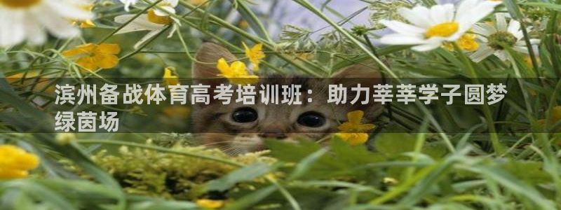 焦点娱乐有限公司怎么样：滨州备战体育高考培训班：助力