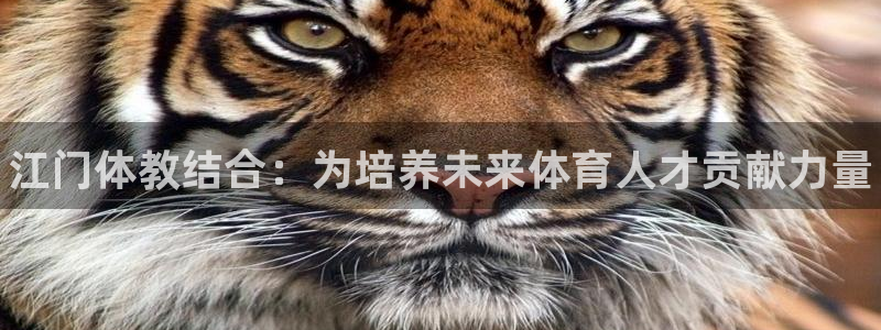 焦点娱乐官网：江门体教结合：为培养未来体育人才贡献力量