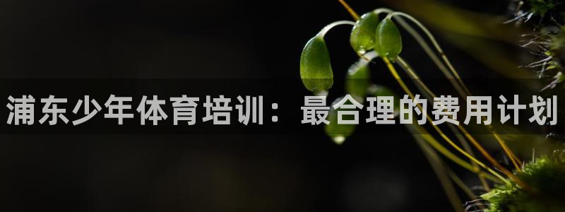 焦点娱乐游戏攻略视频：浦东少年体育培训：最合理的费用计划