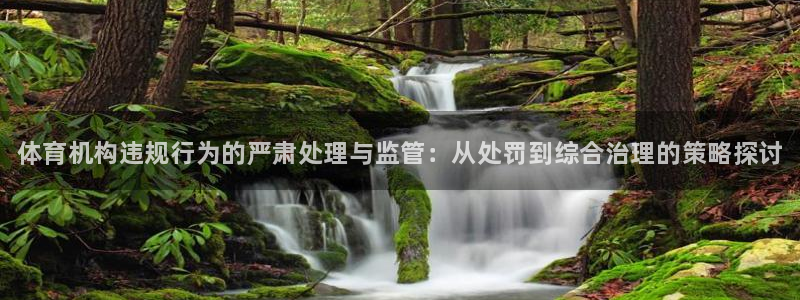 焦点娱乐传媒有限公司招聘：体育机构违规行为的严肃处理