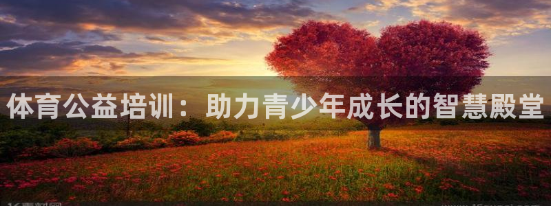 焦点娱乐拉菲11月11日：体育公益培训：助力青少年成长的智慧